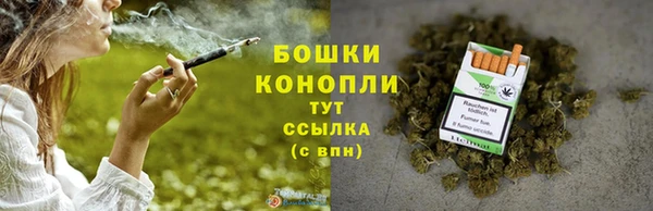 крисы Арсеньев